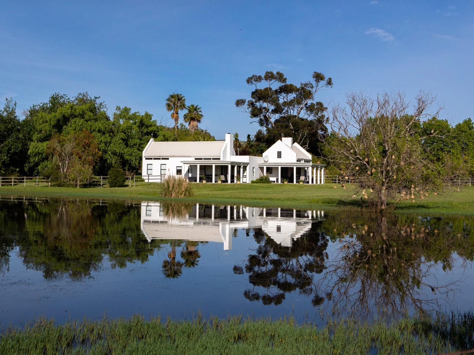 Sanddrif Guest Farm Stellenbosch Farms Stellenbosch Western Cape South Africa Complementary Colors, House, Building, Architecture, Palm Tree, Plant, Nature, Wood