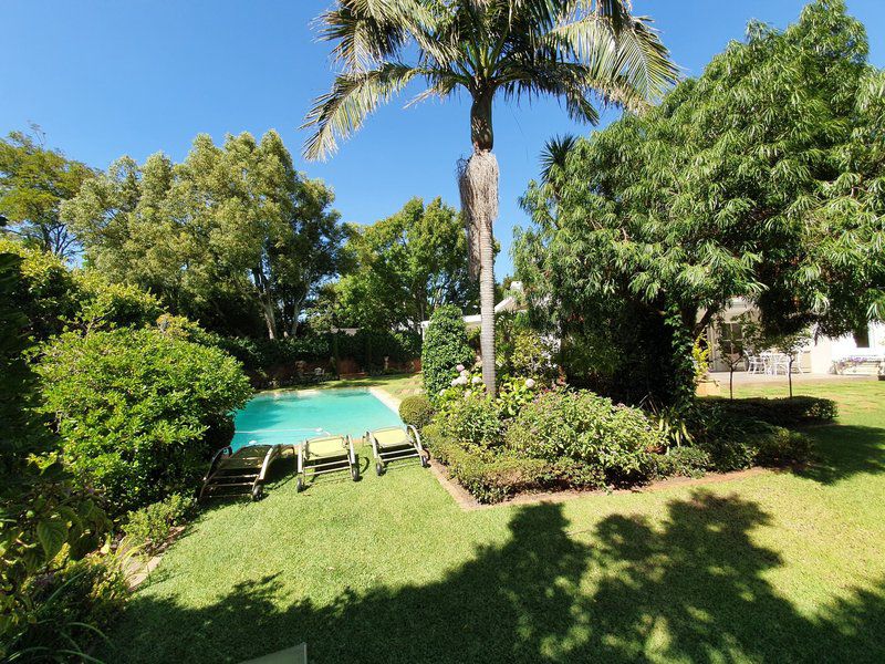 Sandown House Rondebosch Cape Town Western Cape South Africa Complementary Colors, Palm Tree, Plant, Nature, Wood, Garden, Swimming Pool