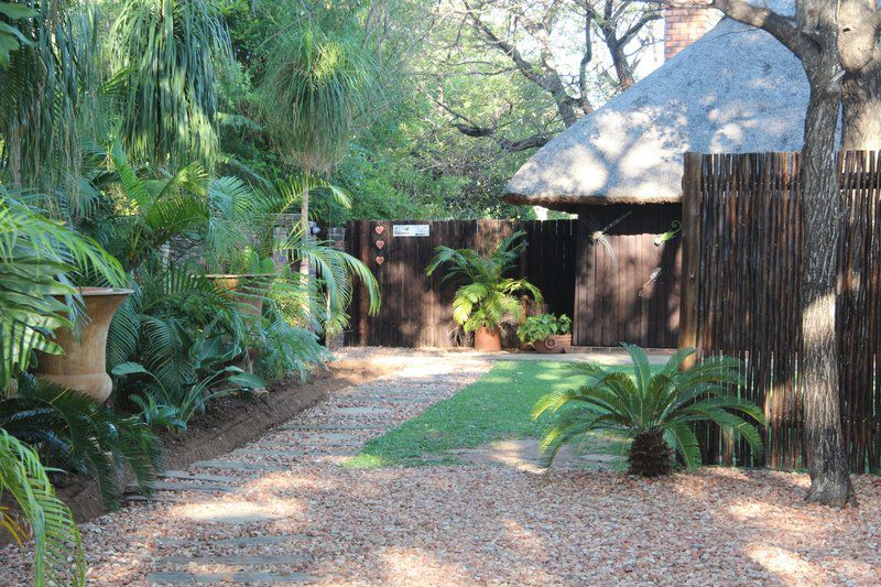 Sandpatrys Guest House Lephalale Ellisras Limpopo Province South Africa Palm Tree, Plant, Nature, Wood, Garden