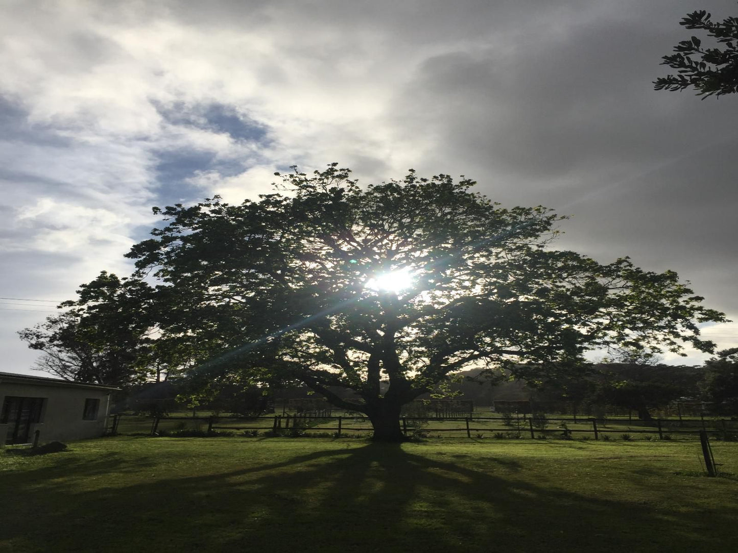 Sandpebbles Estate Theescombe Port Elizabeth Eastern Cape South Africa Sky, Nature, Tree, Plant, Wood