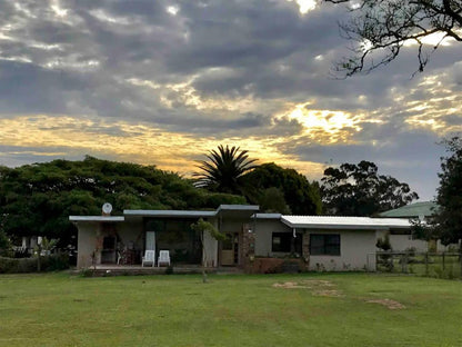 Sandpebbles Estate Theescombe Port Elizabeth Eastern Cape South Africa Palm Tree, Plant, Nature, Wood, Sky