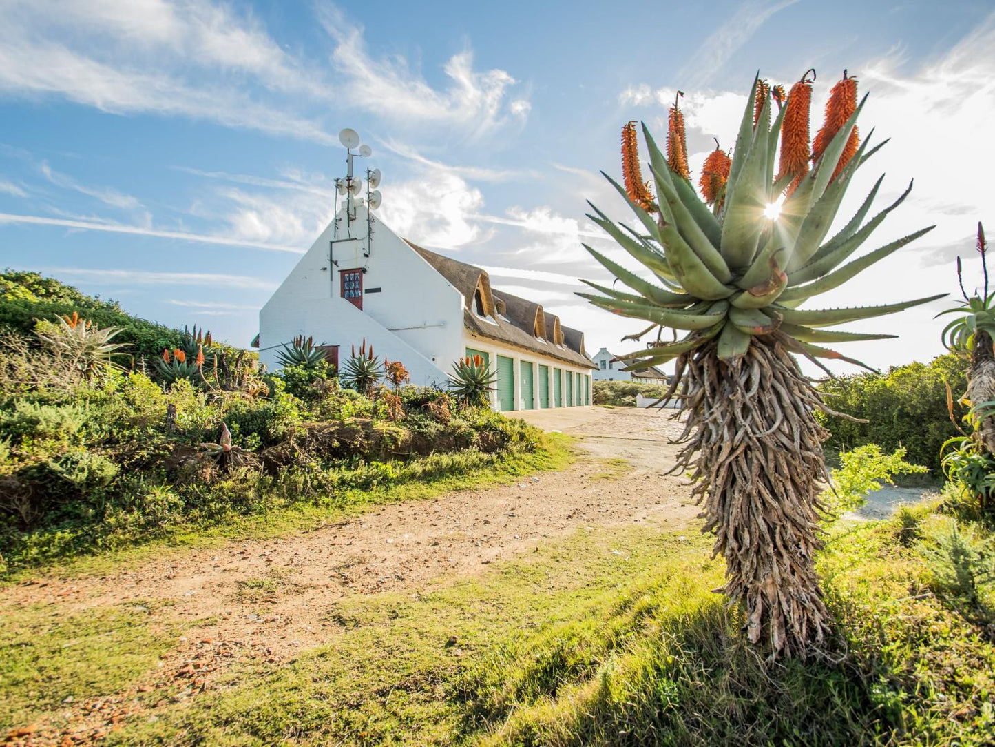 Sandpiper Cottages, Rustic Eco Cabin- Kaia, Pineapple, Fruit, Food