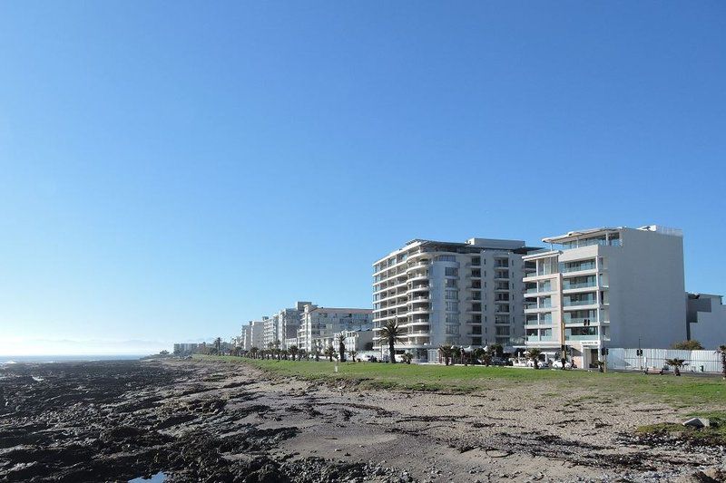 Sandringham Apartment One Mouille Point Cape Town Western Cape South Africa Beach, Nature, Sand, Palm Tree, Plant, Wood