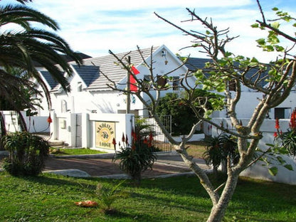 Sandriver Lodge St Francis Bay Eastern Cape South Africa House, Building, Architecture, Palm Tree, Plant, Nature, Wood, Window