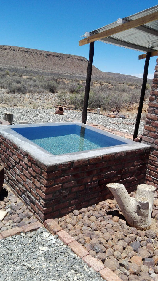 Sandrivier Gasteplaas Carnarvon Northern Cape South Africa Cactus, Plant, Nature, Bathroom, Swimming Pool