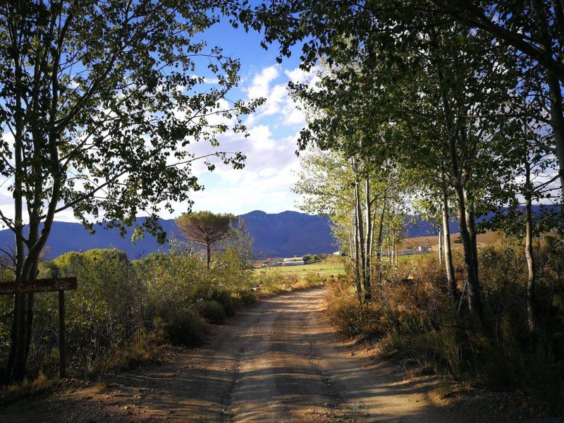 Sandrivier Cottage Seweweekspoort Western Cape South Africa Street