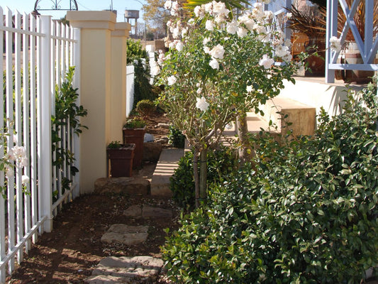 Sandstone Chameleon Guest House Fouriesburg Free State South Africa Blossom, Plant, Nature, House, Building, Architecture, Rose, Flower, Garden