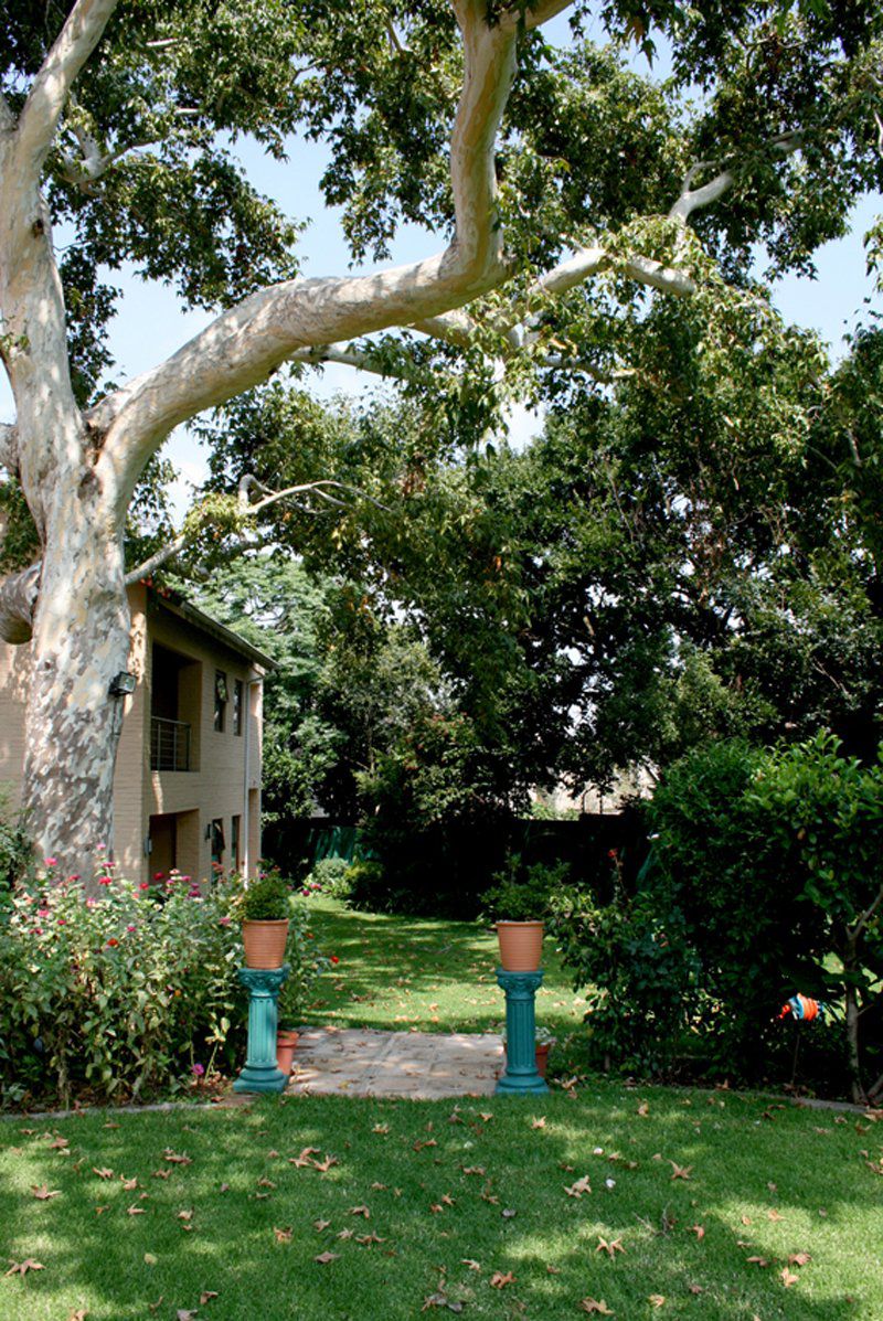 Sandton Lodge Bryanston Bryanston Johannesburg Gauteng South Africa House, Building, Architecture, Plant, Nature, Tree, Wood, Garden