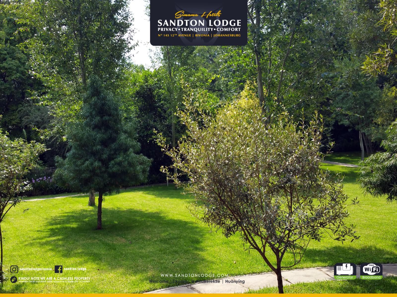 Sandton Lodge Rivonia Rivonia Johannesburg Gauteng South Africa Tree, Plant, Nature, Wood