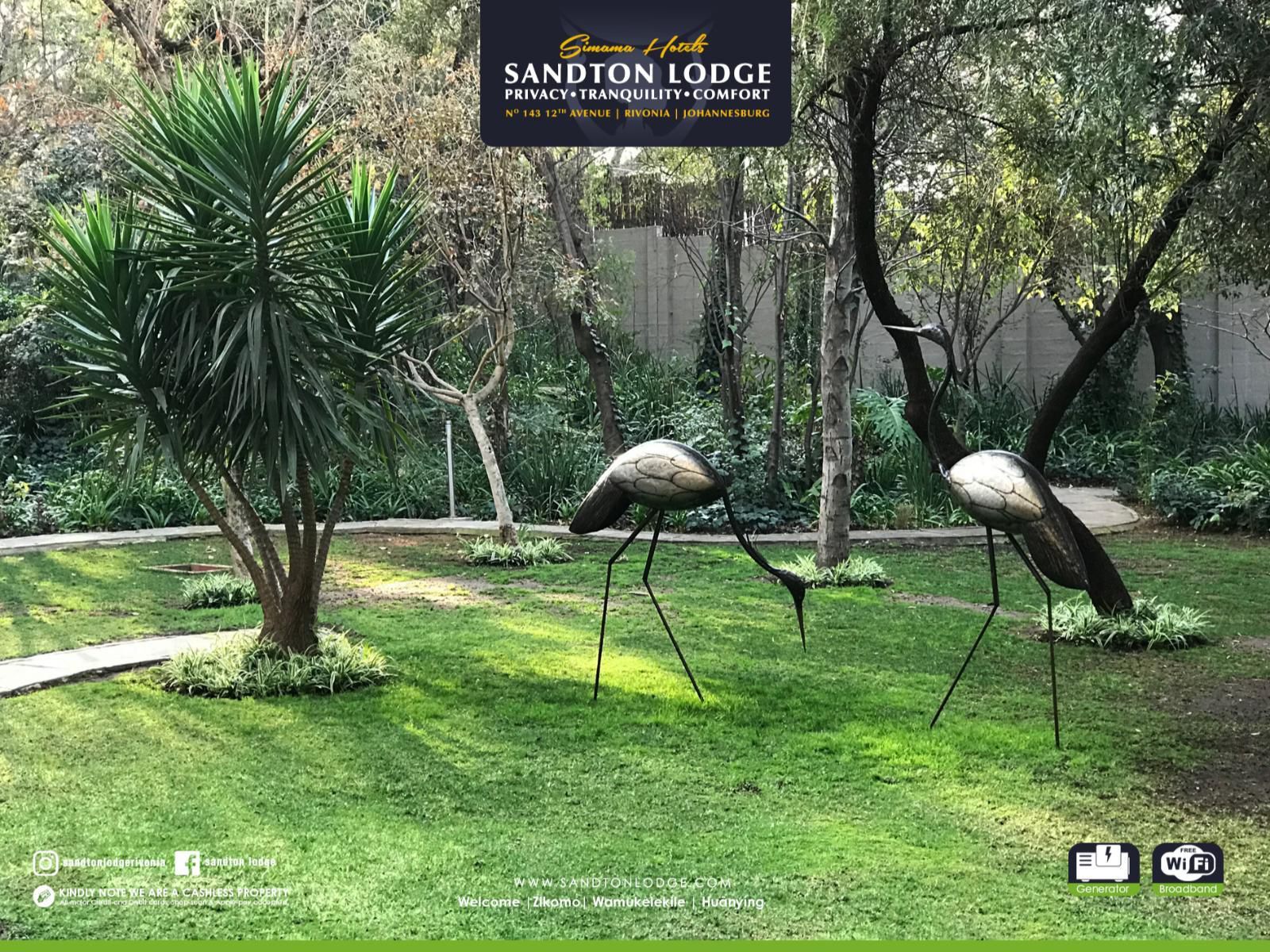 Sandton Lodge Rivonia Rivonia Johannesburg Gauteng South Africa Bird, Animal