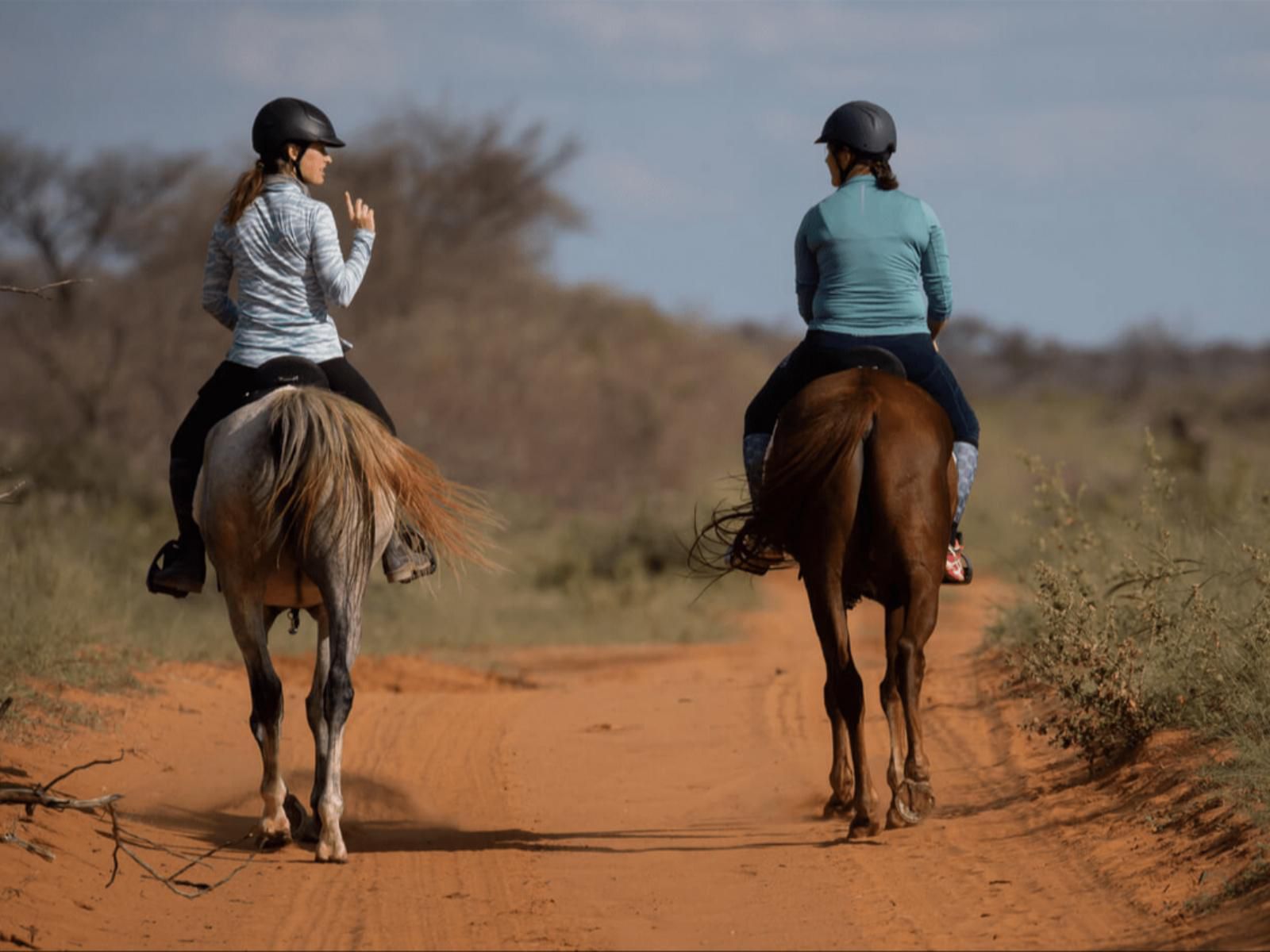 Sandune Game Lodge, Horse, Mammal, Animal, Herbivore, Desert, Nature, Sand, Person