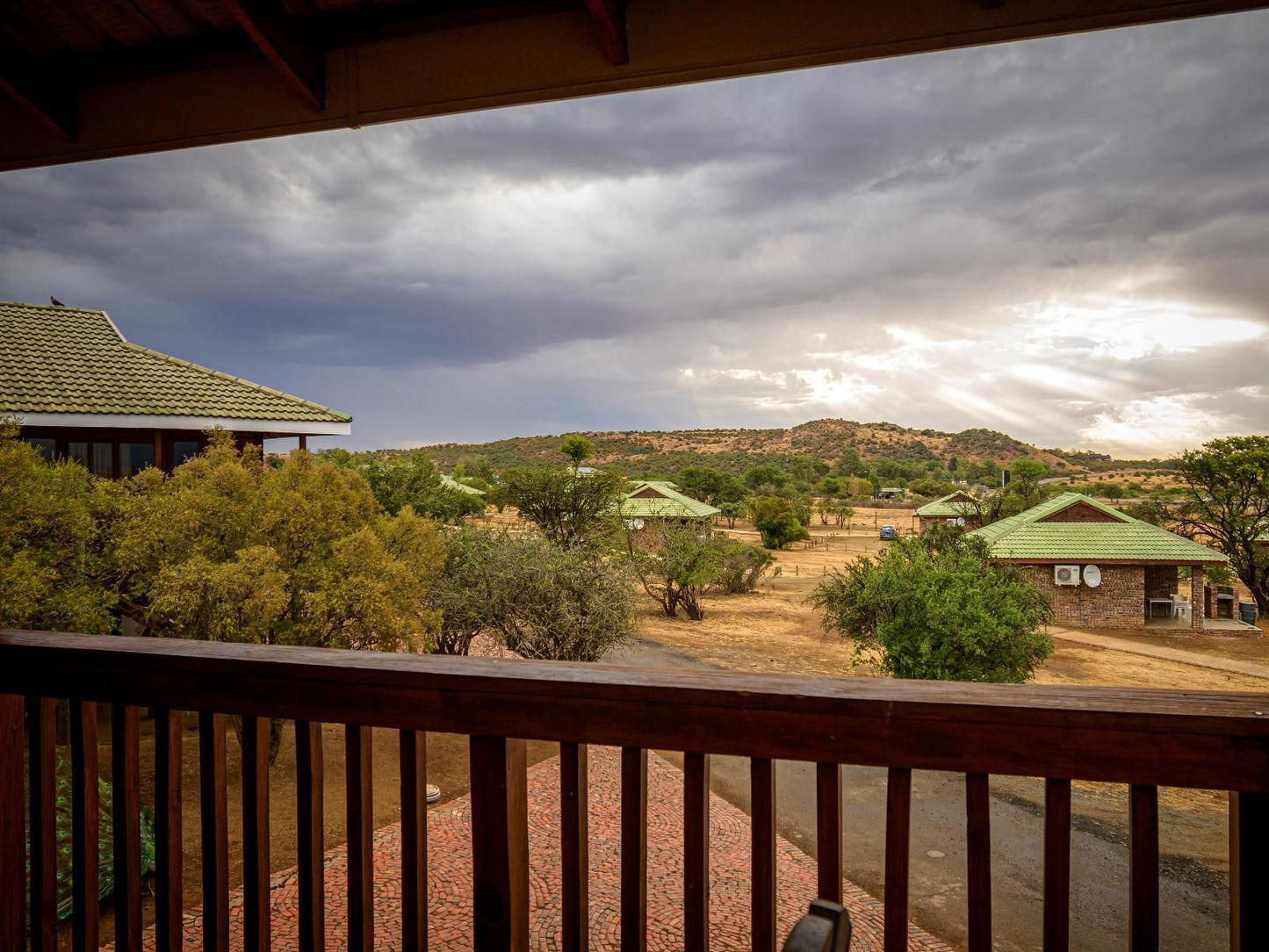 Sangiro Lodge Tredenham Hill Bloemfontein Free State South Africa Nature