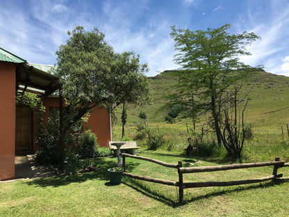 Sani Lodge Backpackers And Self Catering Cottages Himeville Kwazulu Natal South Africa Complementary Colors, Nature