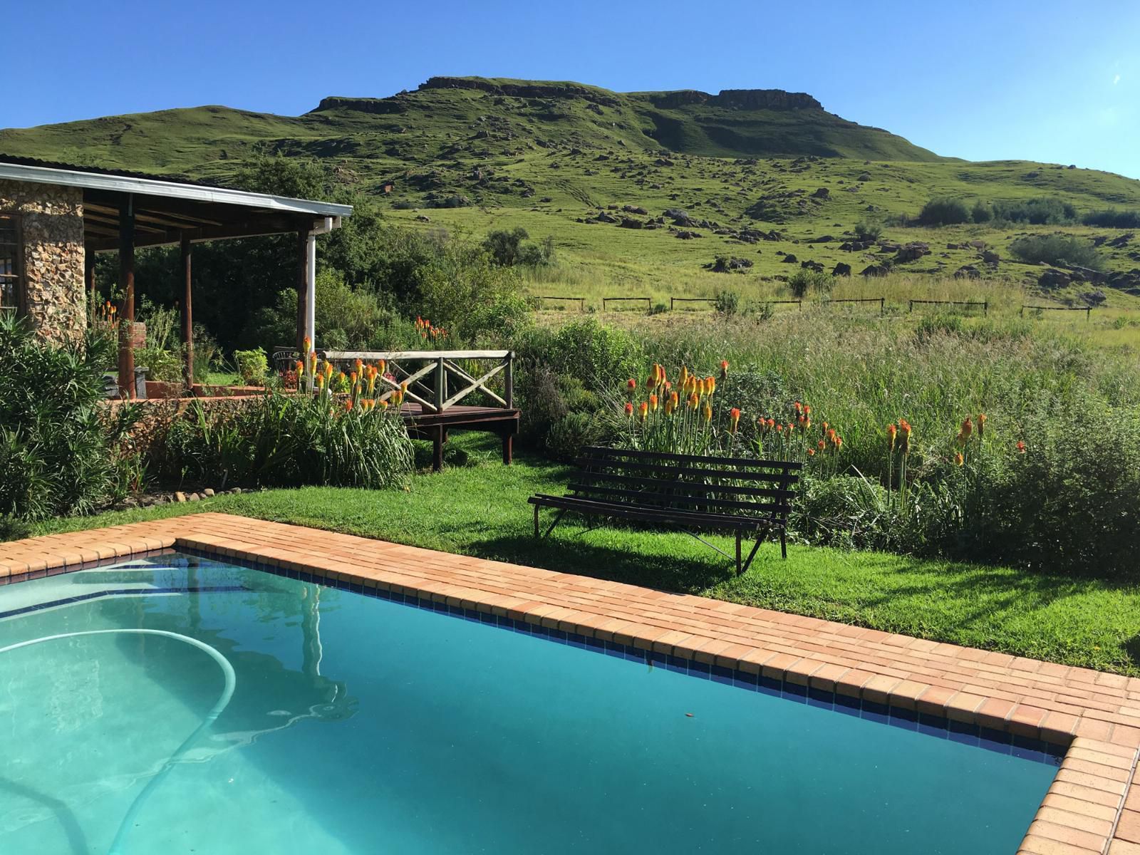 Sani Lodge & Cottages, Garden, Nature, Plant, Swimming Pool