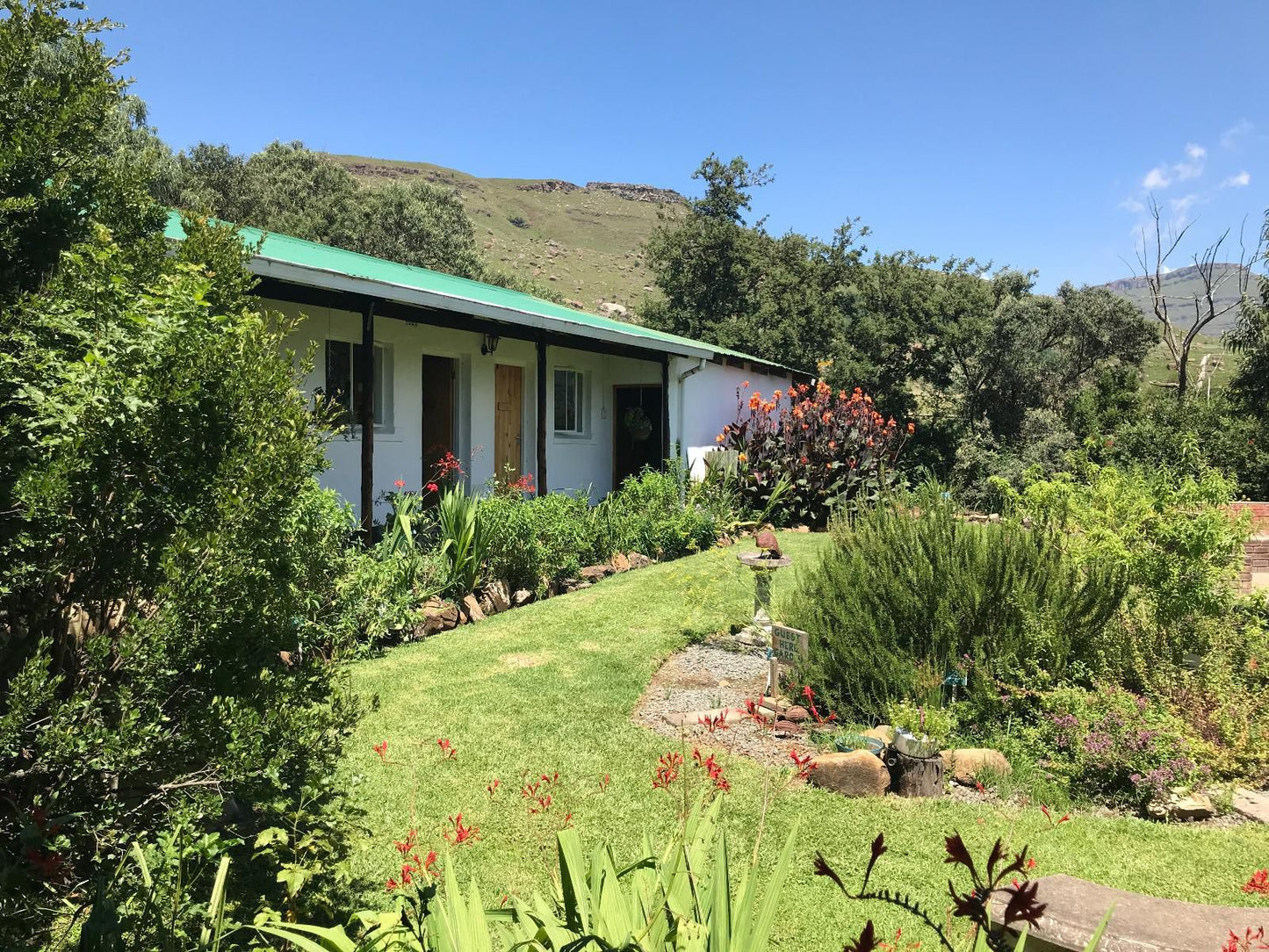 Sani Lodge & Cottages, Aloe 4 guest Mountain View Cottage, House, Building, Architecture, Garden, Nature, Plant