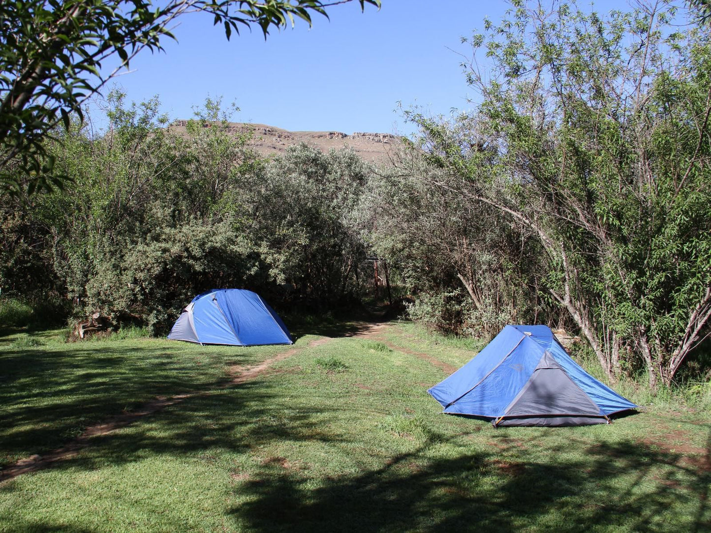 Sani Lodge & Cottages, Campsite 1 person, Tent, Architecture