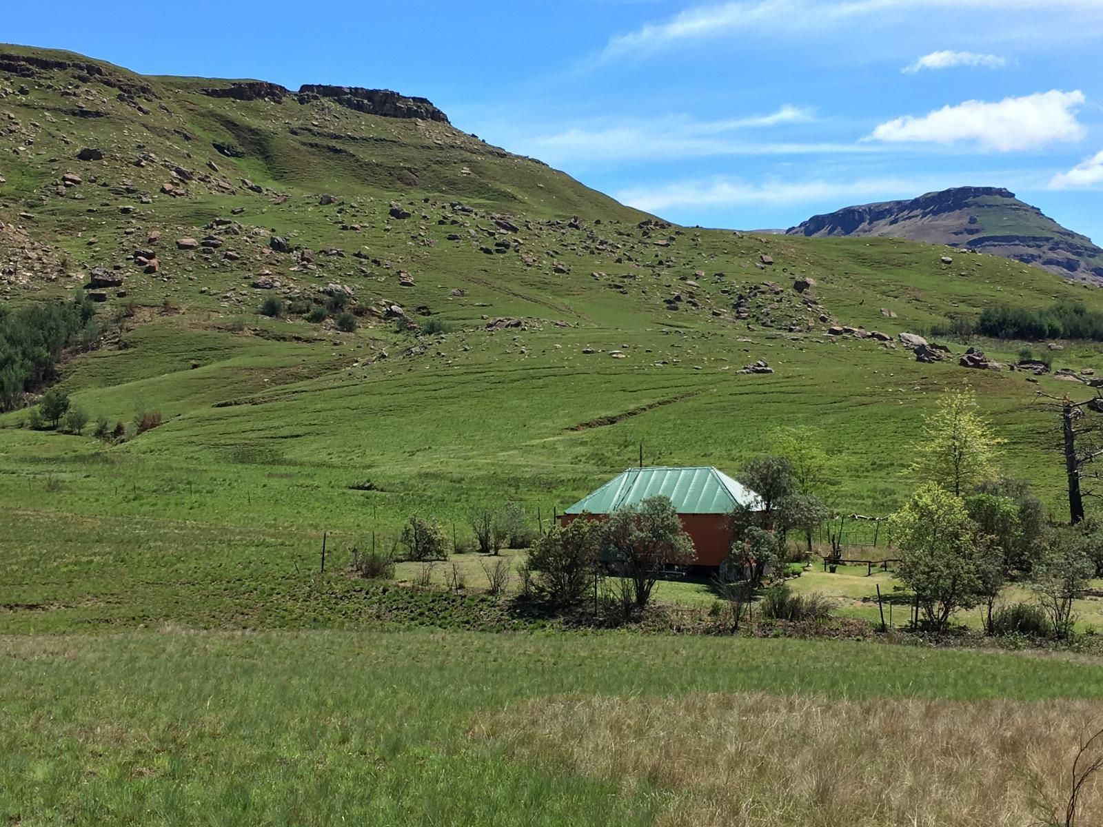 Sani Lodge & Cottages, Rondavel Garden View Francolin, Highland, Nature