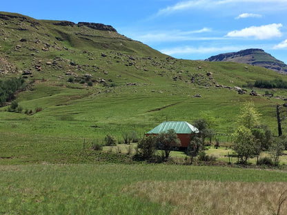 Sani Lodge & Cottages, Rondavel Garden View Francolin, Highland, Nature