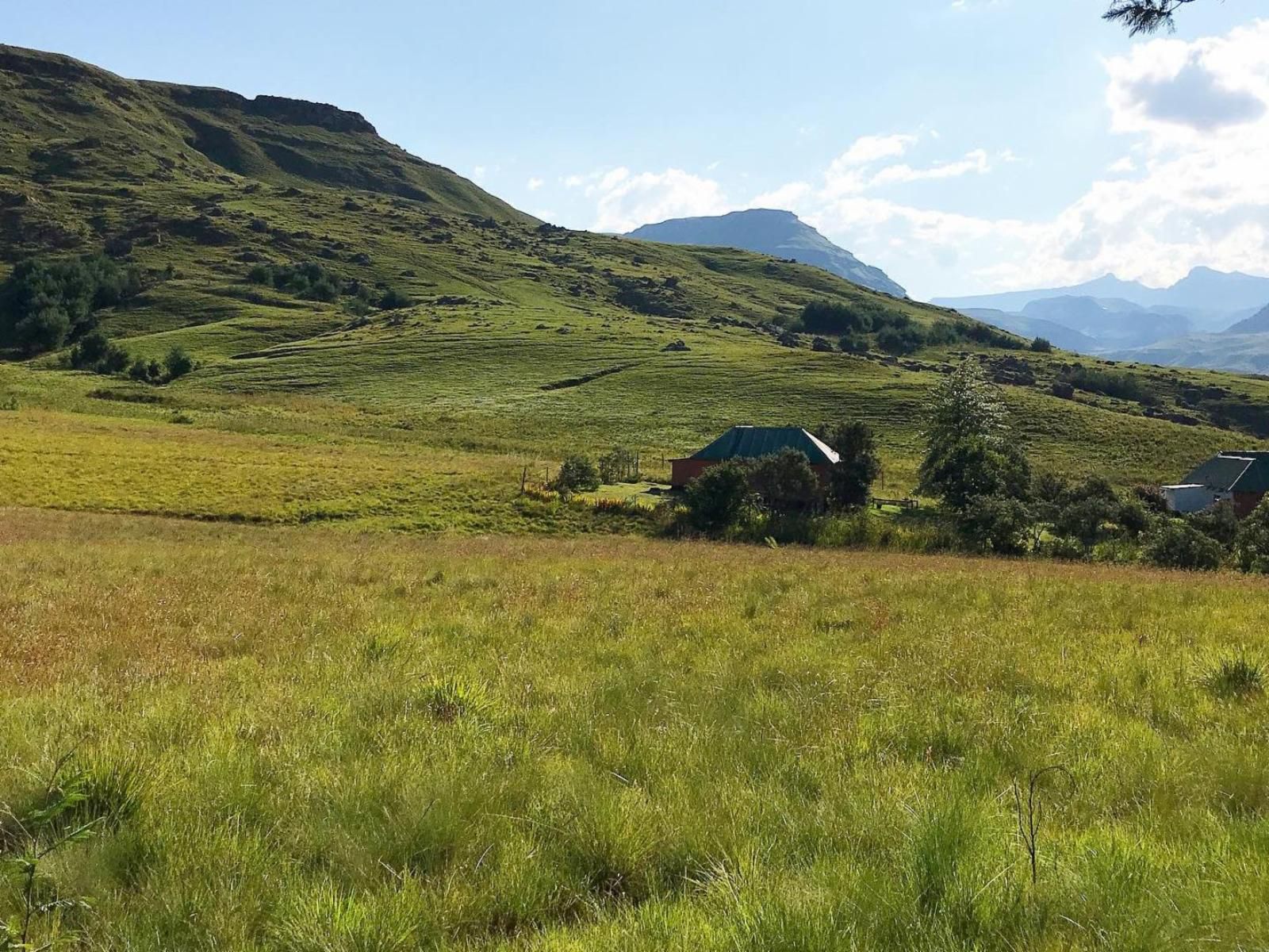 Sani Lodge & Cottages, Rondavel Single Hoopoe, Meadow, Nature, Mountain, Highland