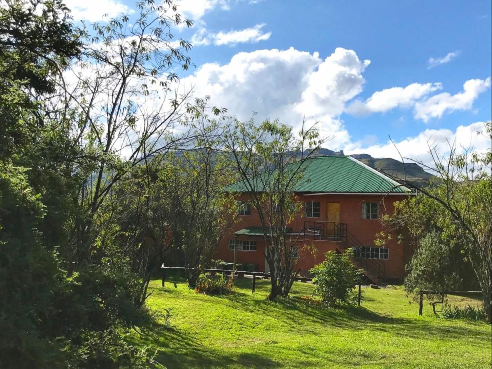 Sani Lodge & Cottages, Standard Twin Room Nightjar, House, Building, Architecture, Window