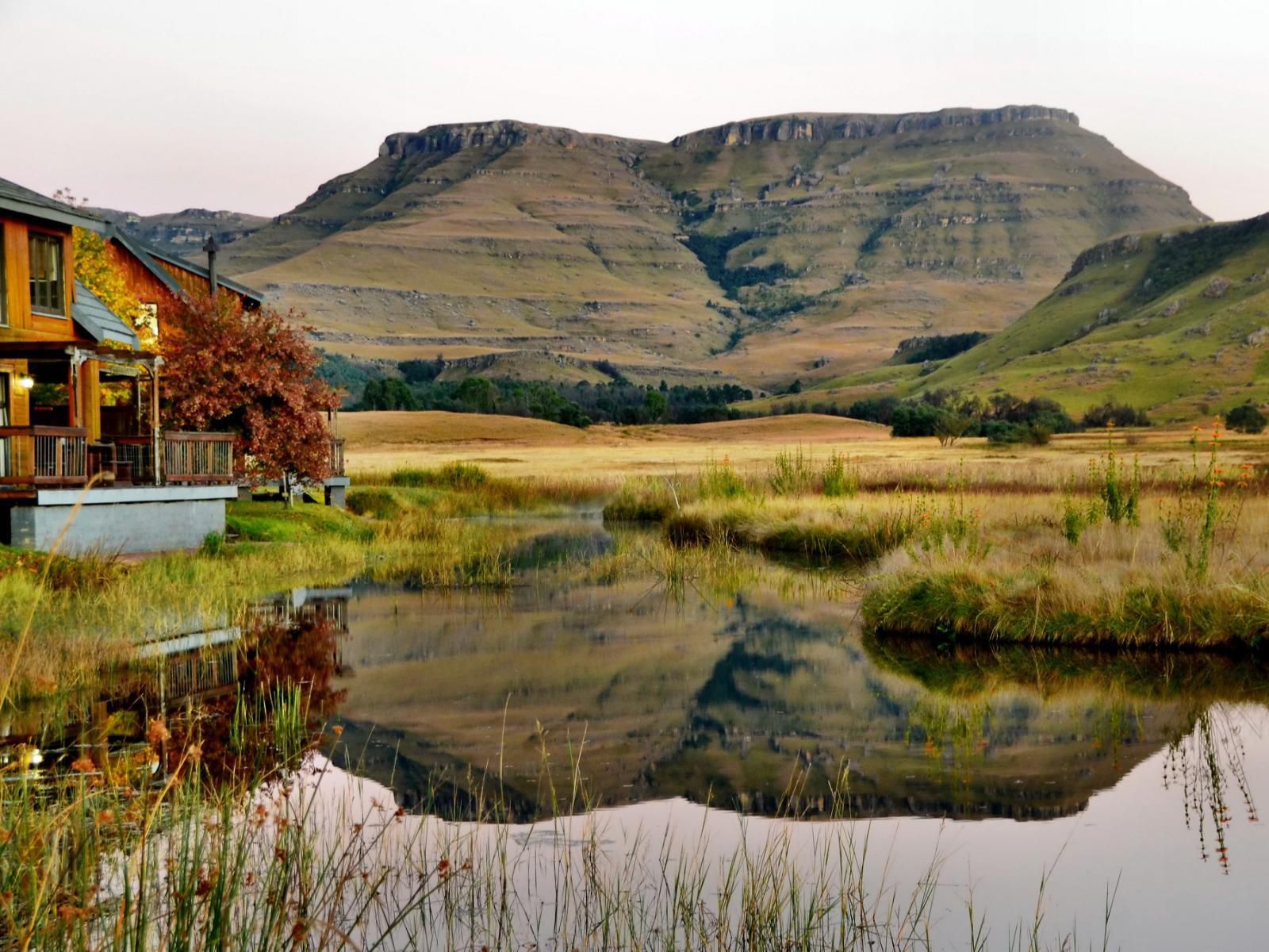 Sani Valley Nature Lodges Himeville Kwazulu Natal South Africa Highland, Nature