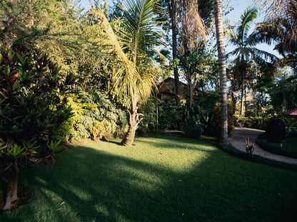 Sanna Eco Lodge, Palm Tree, Plant, Nature, Wood, Garden