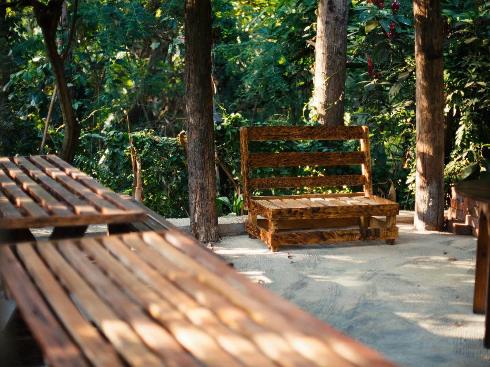 Sanna Eco Lodge, Tree, Plant, Nature, Wood