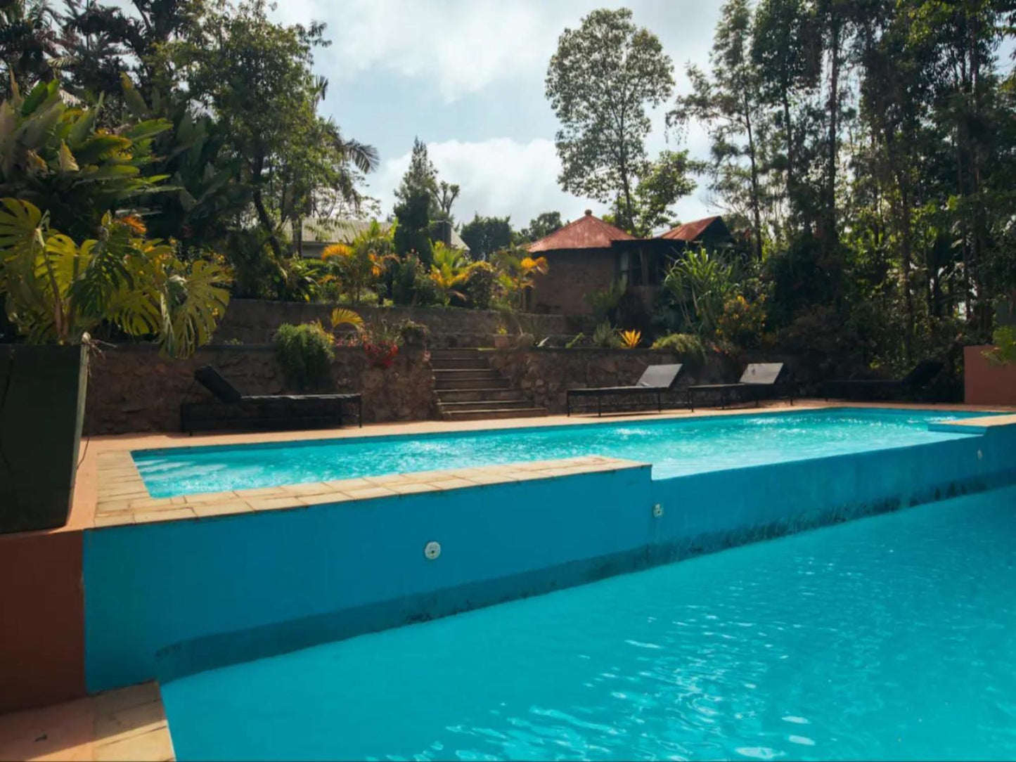 Sanna Eco Lodge, Palm Tree, Plant, Nature, Wood, Swimming Pool