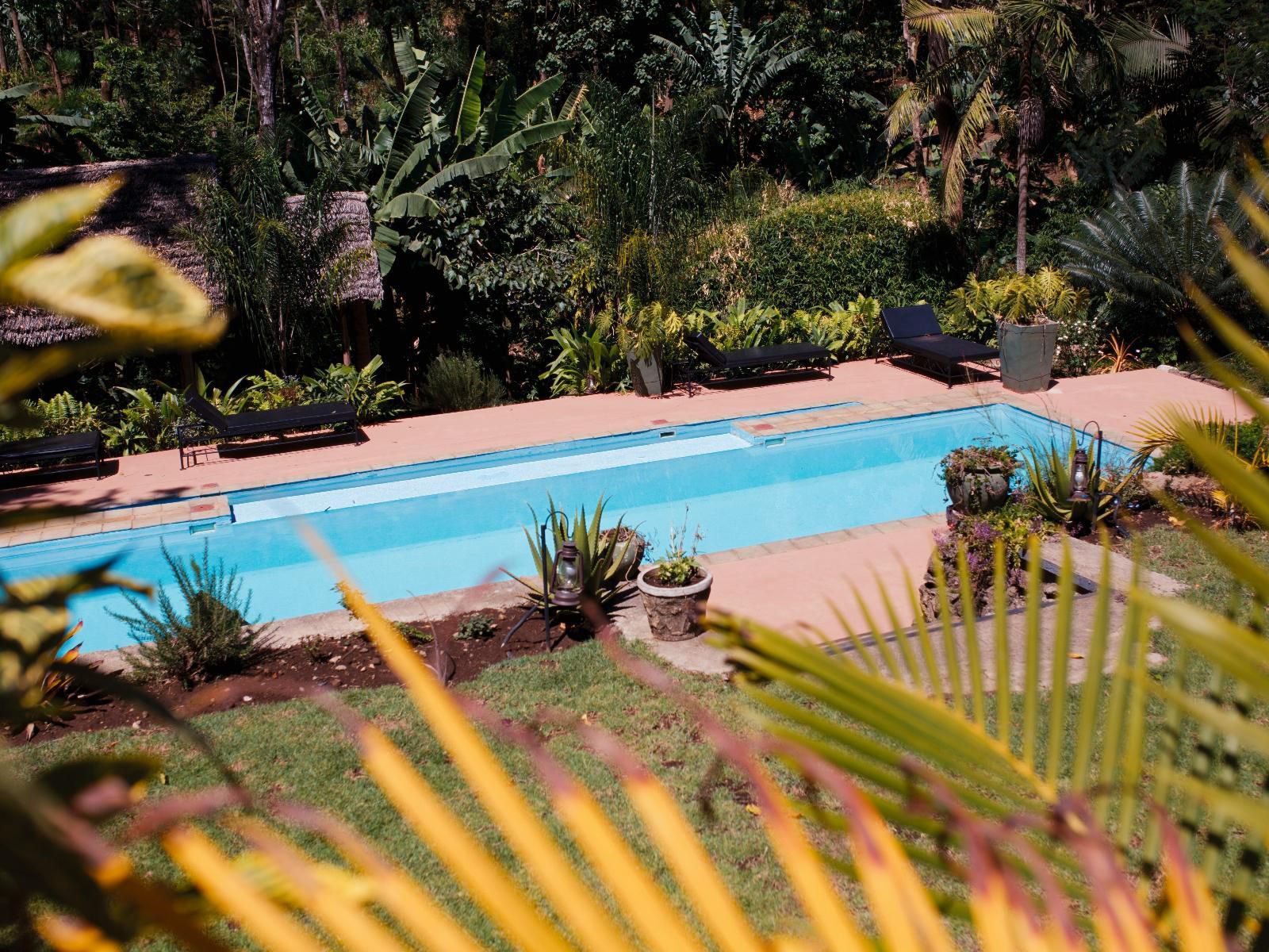 Sanna Eco Lodge, Palm Tree, Plant, Nature, Wood, Garden, Swimming Pool