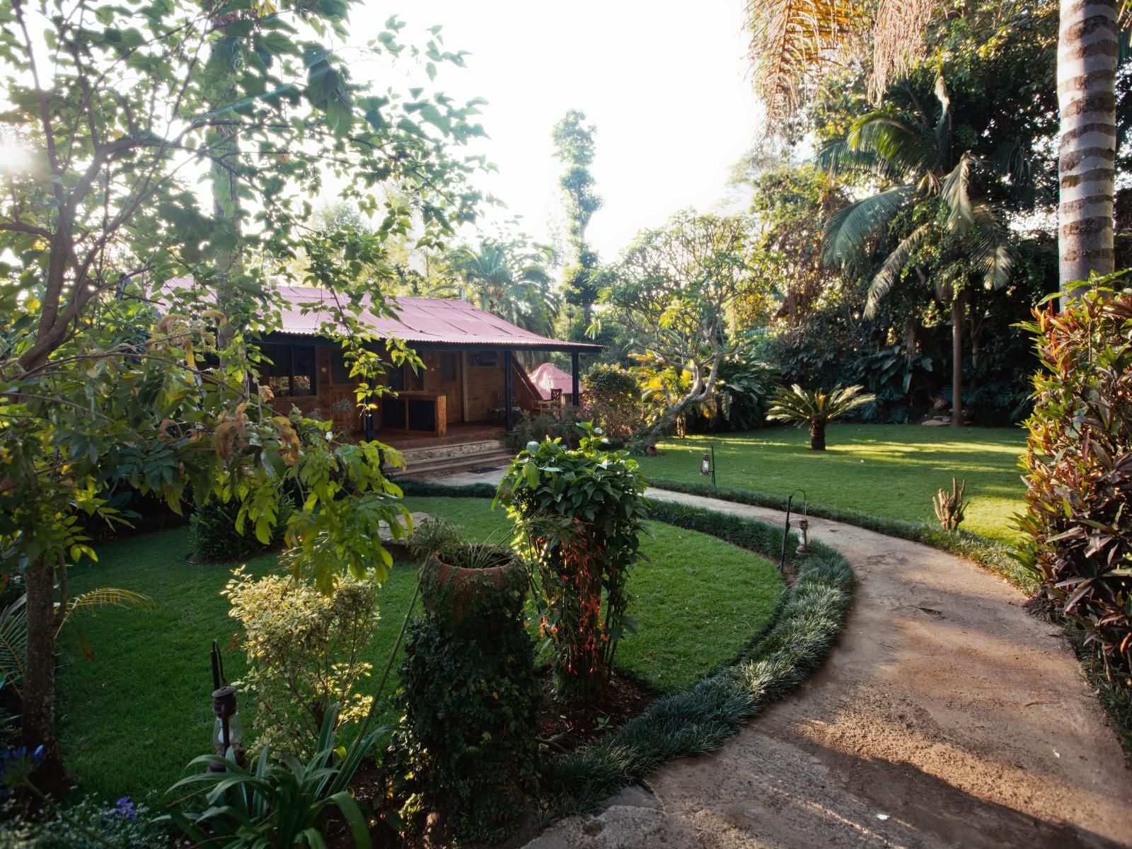 Sanna Eco Lodge, Palm Tree, Plant, Nature, Wood, Garden