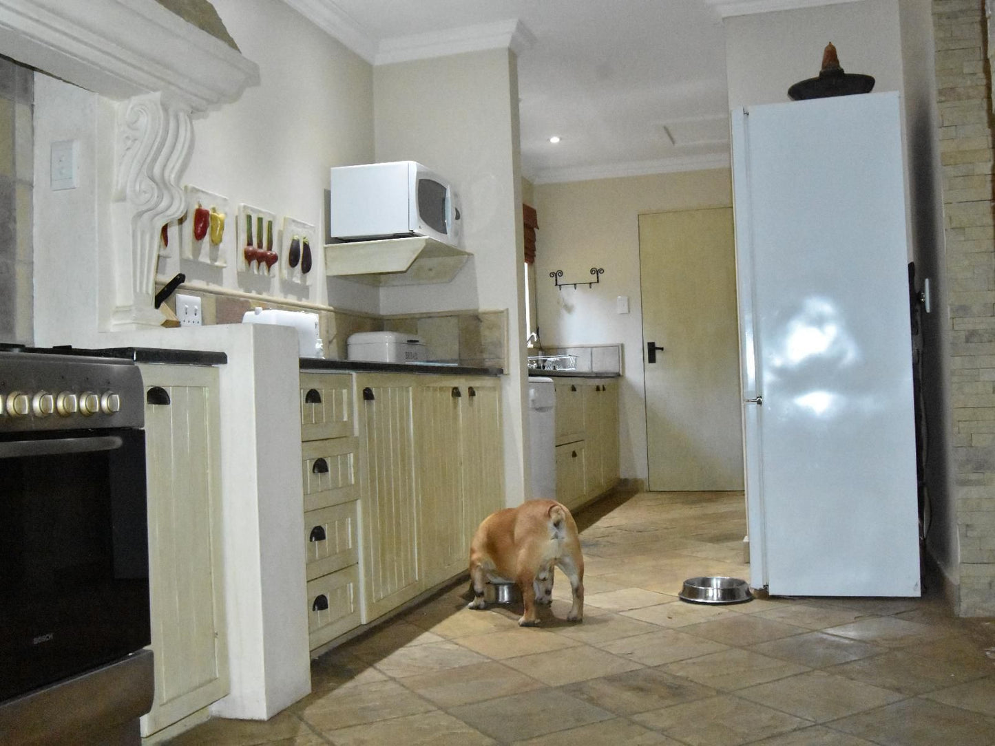 San Rock Guest House Clarens Free State South Africa Unsaturated, Dog, Mammal, Animal, Pet, Kitchen