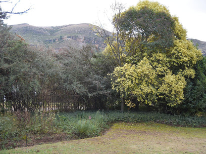 San Rock Guest House Clarens Free State South Africa Plant, Nature, Tree, Wood, Garden