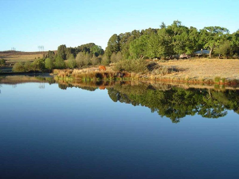 Santa Estate Dullstroom Mpumalanga South Africa Complementary Colors, Colorful, River, Nature, Waters