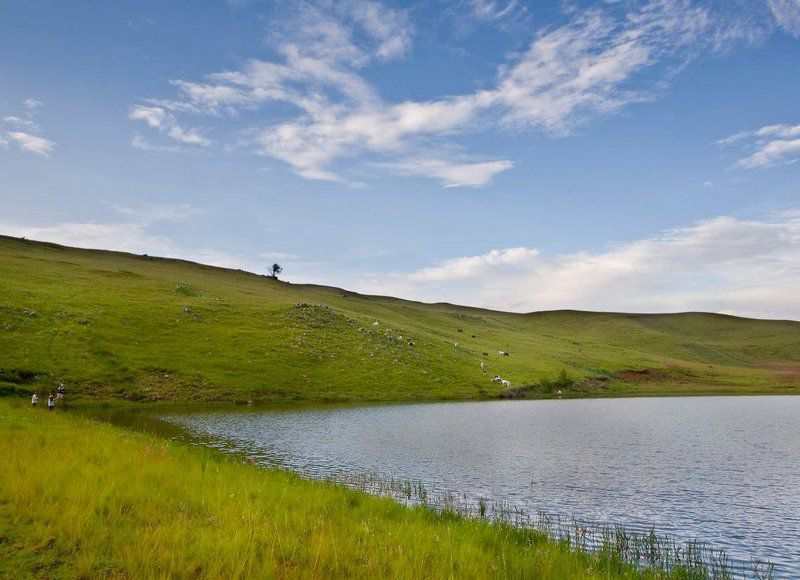 Santa Estate Dullstroom Mpumalanga South Africa Complementary Colors, Meadow, Nature, Highland