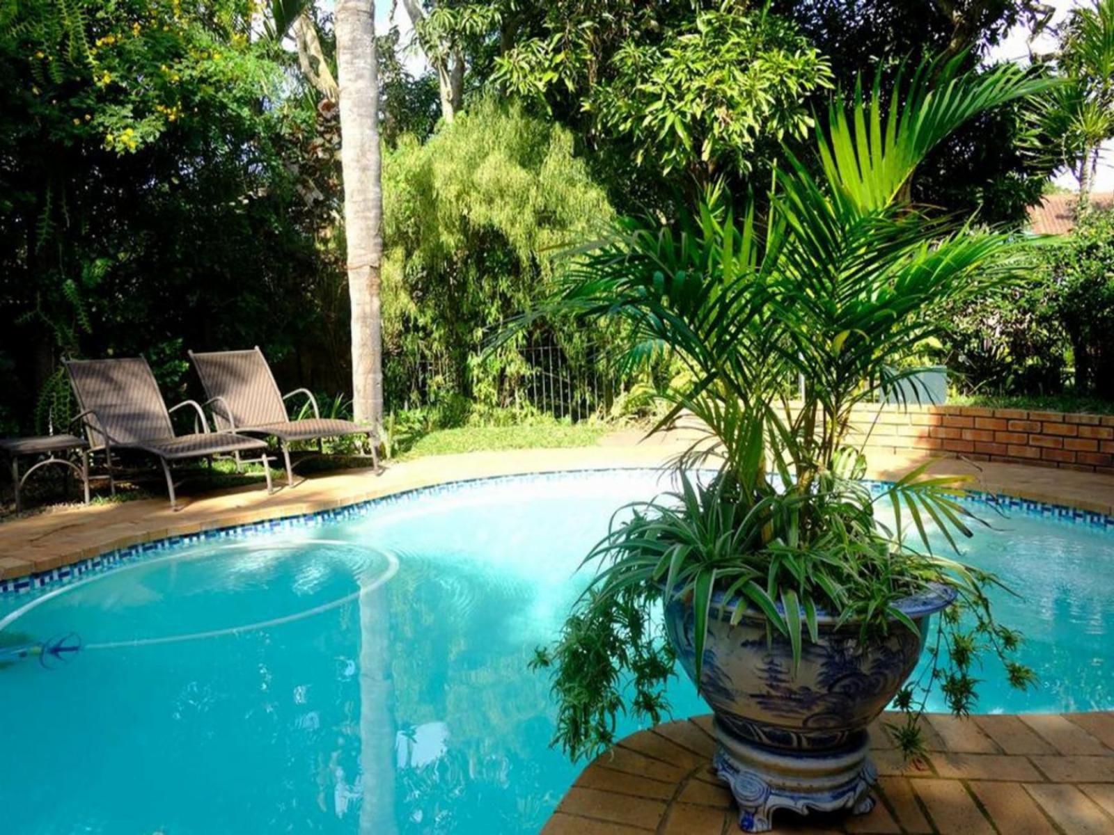 Santa Lucia Guest House, Palm Tree, Plant, Nature, Wood, Garden, Swimming Pool