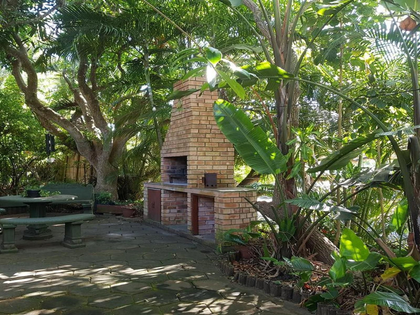 Santa Lucia Guest House, Palm Tree, Plant, Nature, Wood, Garden