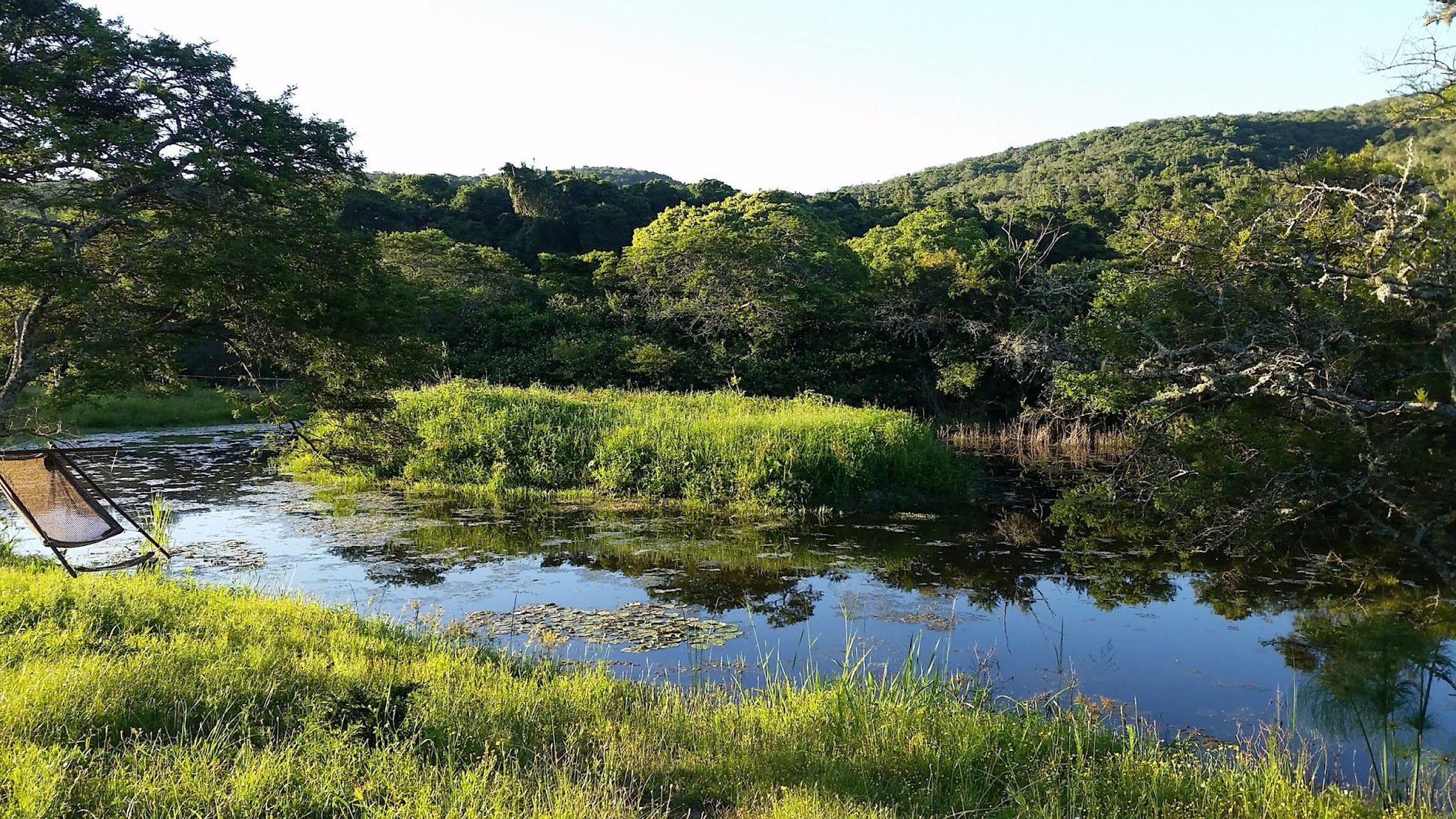 Santa Paloma Guest Farm Summerpride East London Eastern Cape South Africa River, Nature, Waters, Tree, Plant, Wood