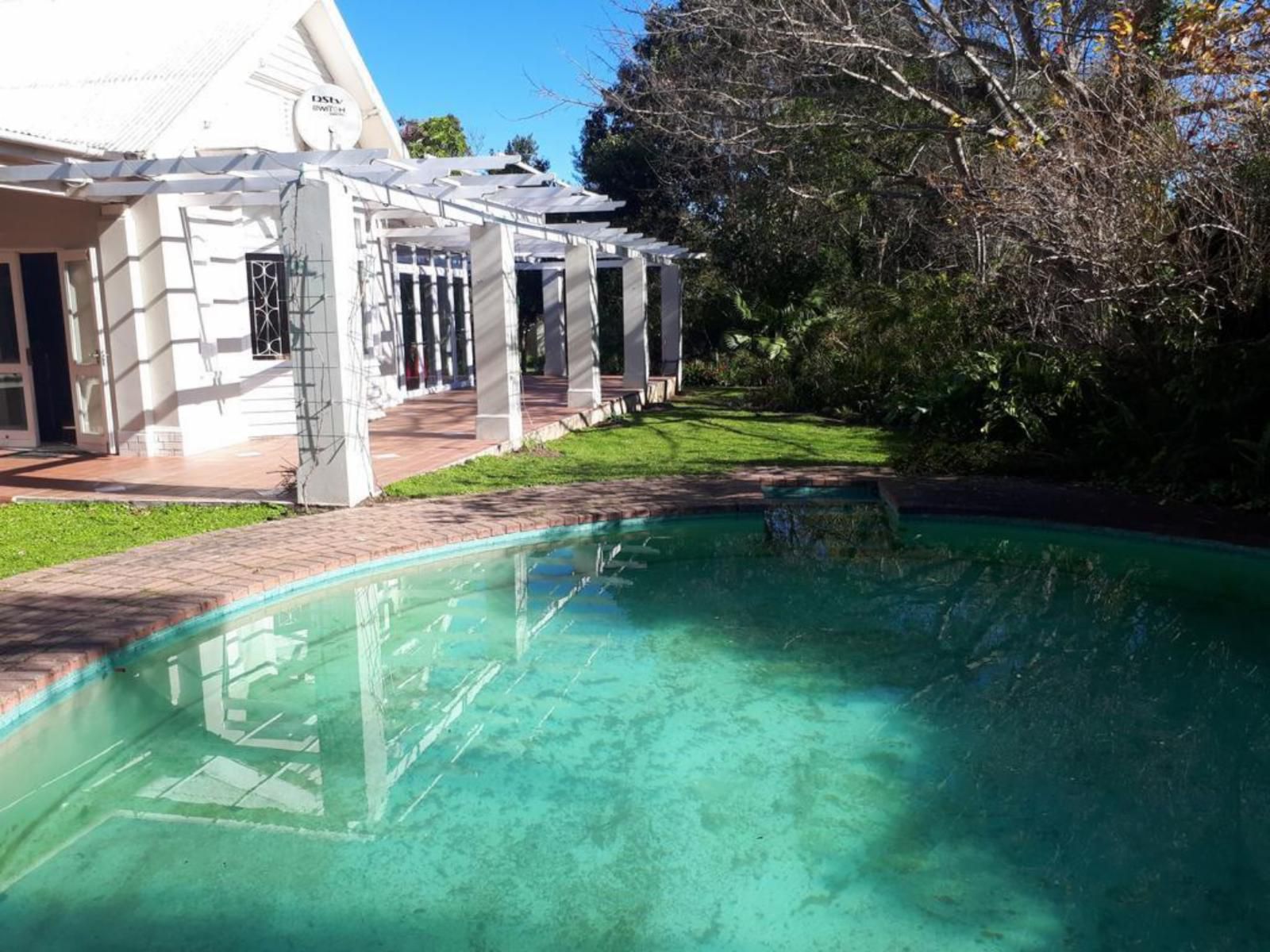 Sarah S Place Heatherlands George Western Cape South Africa House, Building, Architecture, Palm Tree, Plant, Nature, Wood, Garden, Swimming Pool