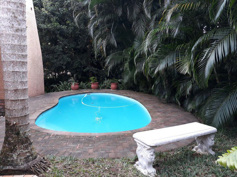 Sarah S Dynasty St Lucia Kwazulu Natal South Africa Palm Tree, Plant, Nature, Wood, Swimming Pool