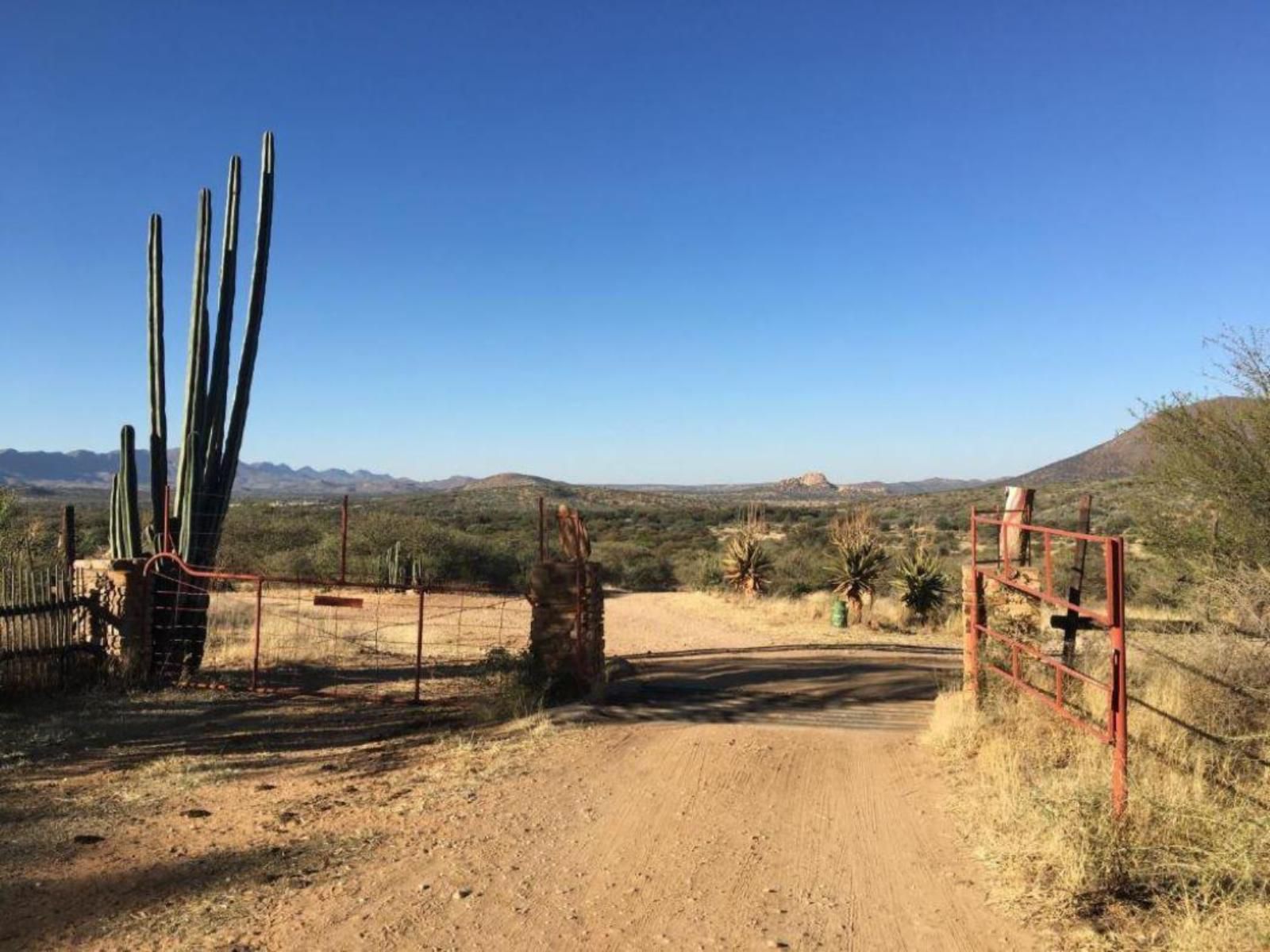 Sarima Krumhuk Guest Farm, Cactus, Plant, Nature, Desert, Sand