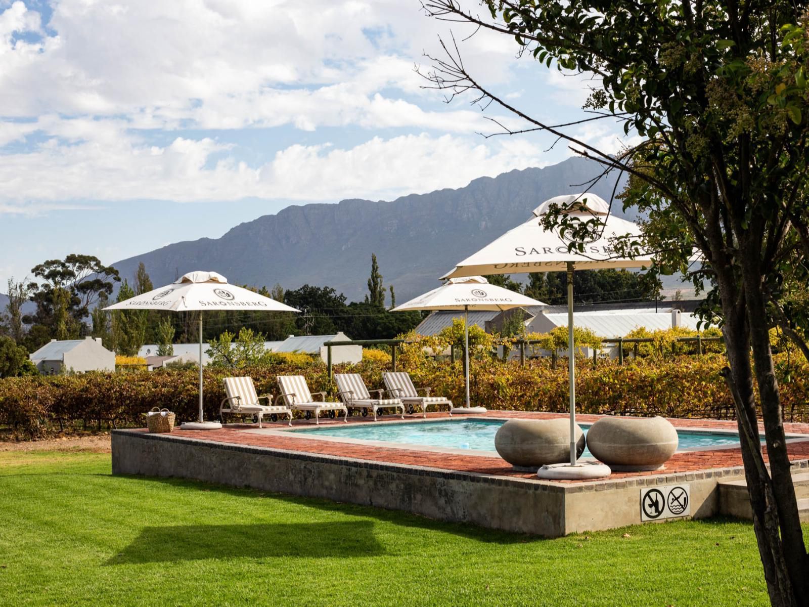 Saronsberg Vineyard Cottages Tulbagh Western Cape South Africa Swimming Pool