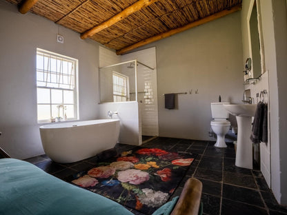 Saronsberg Vineyard Cottages Tulbagh Western Cape South Africa 
