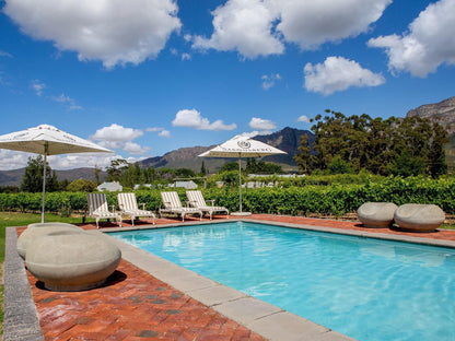 Saronsberg Vineyard Cottages Tulbagh Western Cape South Africa Complementary Colors, Mountain, Nature, Swimming Pool