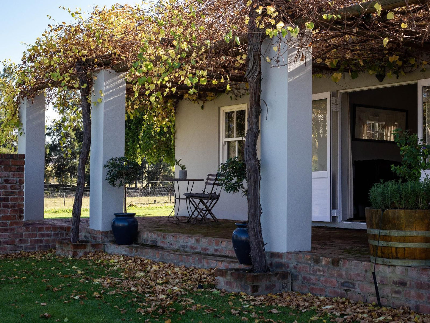 Saronsberg Vineyard Cottages Tulbagh Western Cape South Africa House, Building, Architecture, Plant, Nature, Framing, Garden, Living Room