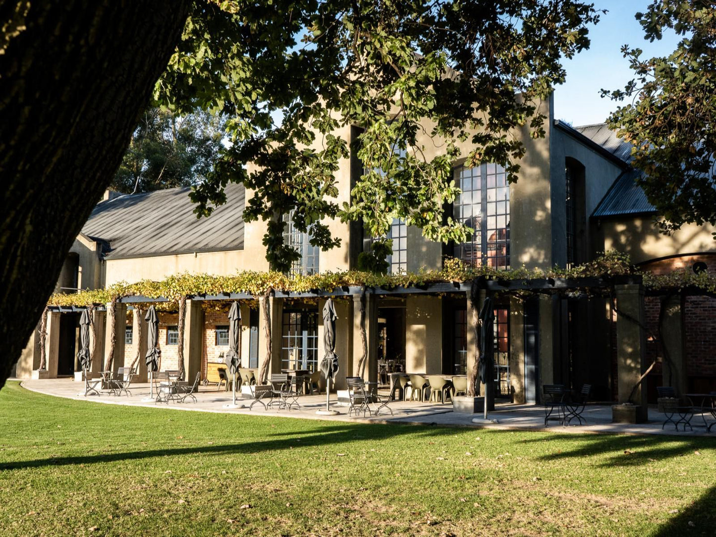 Saronsberg Vineyard Cottages Tulbagh Western Cape South Africa House, Building, Architecture, Bar