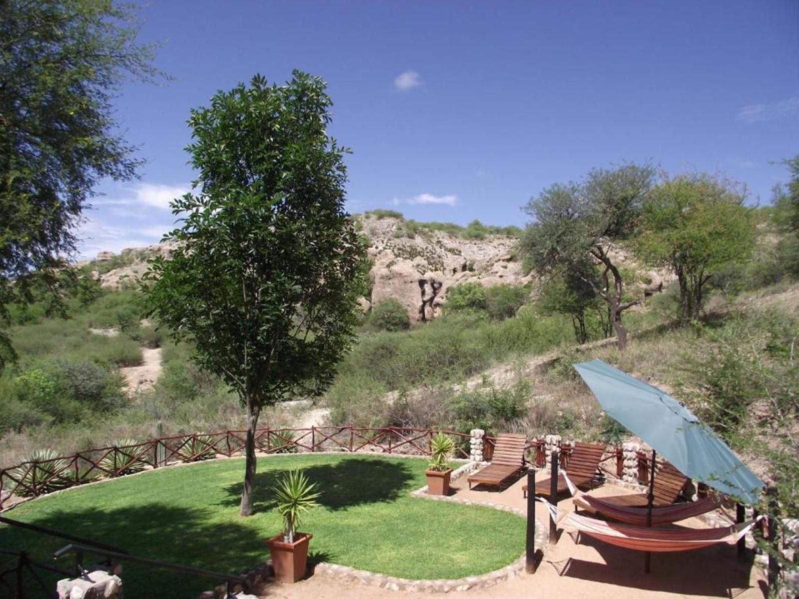 Sasa Safari Camp & Tours, Cactus, Plant, Nature