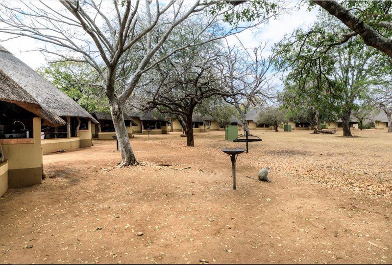Satara Rest Camp Kruger National Park Sanparks South Kruger Park Mpumalanga South Africa 