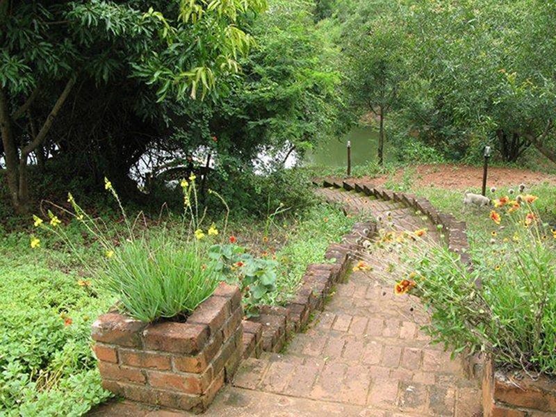 Satvik Accommodation Tzaneen Limpopo Province South Africa Plant, Nature, Garden