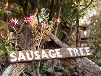 Sausage Tree Safari Camp, Sign