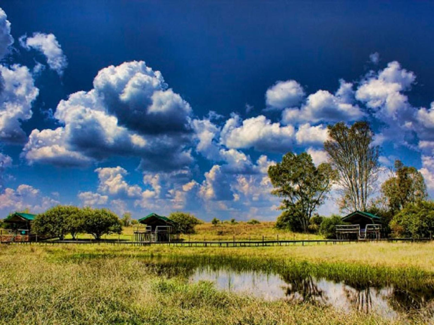 Savannah Game And River Retreat Parys Free State South Africa Complementary Colors, Lowland, Nature